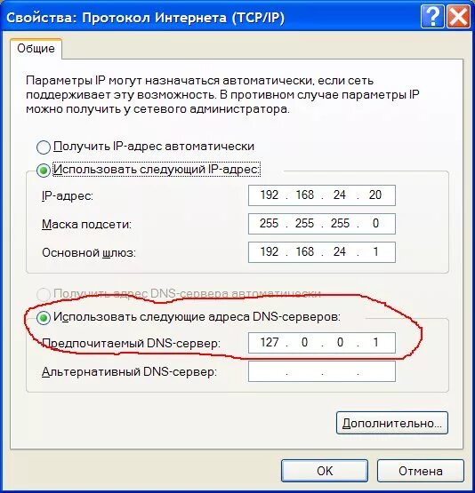 Что делает днс сервер на телефоне. Как выглядит DNS сервер. Стандартный DNS сервер. Персональный DNS сервер компьютер. Предпочтительный DNS сервер ipv4.