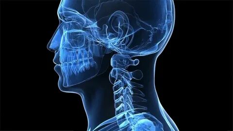 Head neck