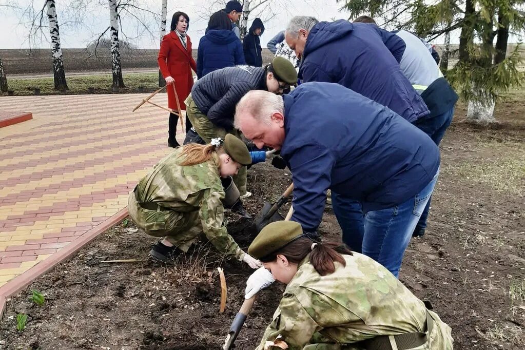 Погода на 10 дней курская обл медвенский р он с ело паники. Медвенские новости. Село паника дом 18 оренбургская область. Погода село паник. Флаг сад памяти.