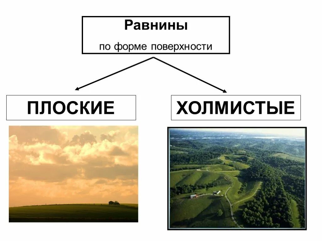Какие бывают равнины по внешнему виду. Классификация равнин. виды равнин схема. плоские и холмистые равнины. равнины по форме поверхности.