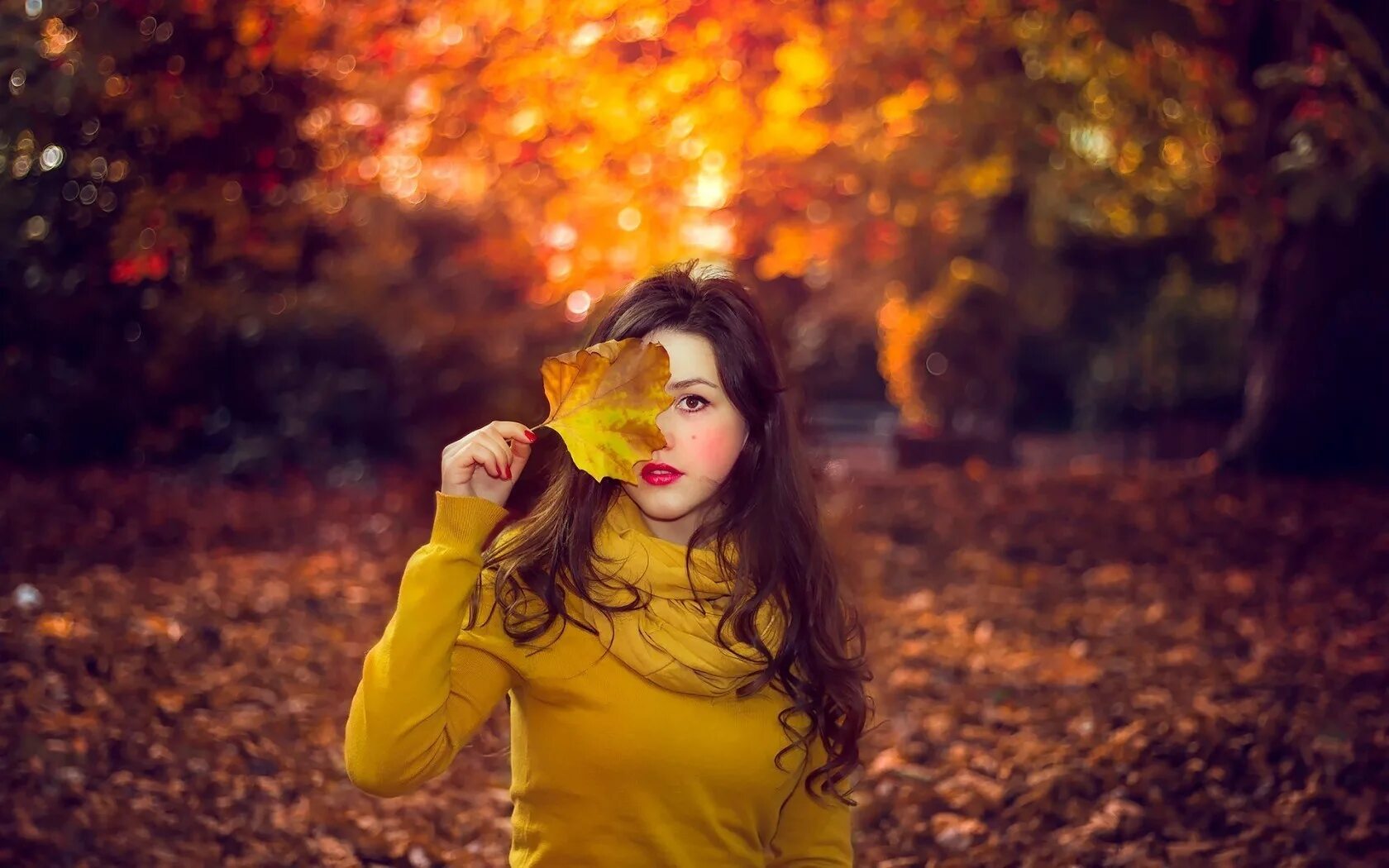 Картинки девушек с листьями. Фотосессия с осенними листьями. девушка в осенней листве. девушка и желтые листья. женщина с листом.