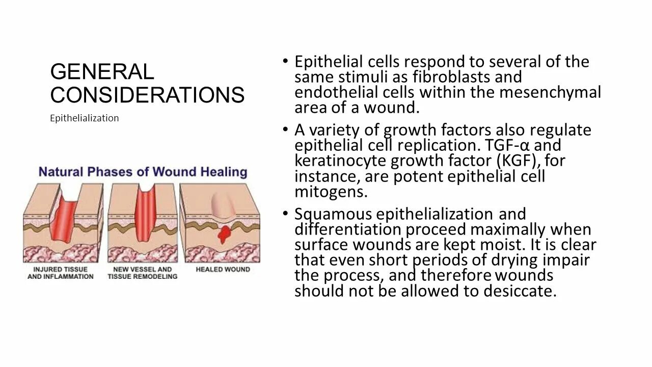 Как переводится wind wound wound. Как переводится wind wound wound. Как переводится wind wound wound. Wound 3 формы глагола. Wind wound wound транскрипция.