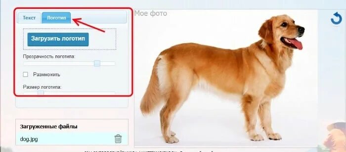 Файл cur. Файлы cur. cur.