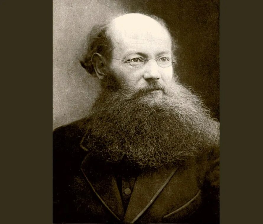 Петра Алексеевича Кропоткина (1842 - 1921). Кропоткин революционер.