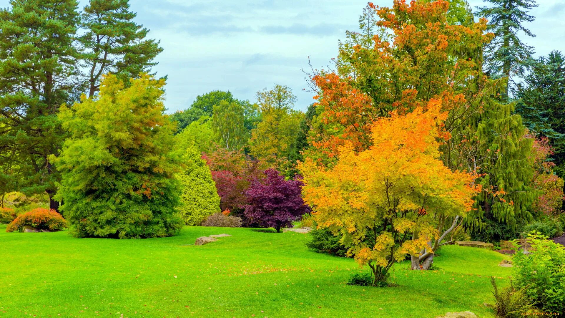 Ранний рабочий. Природа осень. Ранняя осень в саду. Обои ранняя осень. Ранняя осень картинки на рабочий стол.