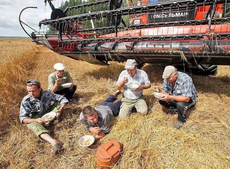 Лошади в годы войны в колхозах. Колхоз смешно. День доярки. Лошадь так и не стала председателем колхоза. Советские работницы.
