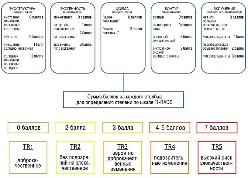 Ti-rads 1 классификация. Шкала ti rads 2. Tirads 5 классификация узлов щитовидной железы. Ti-rads шкала\.