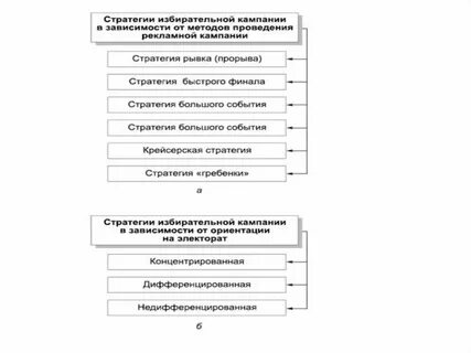 Тип избирательной кампании