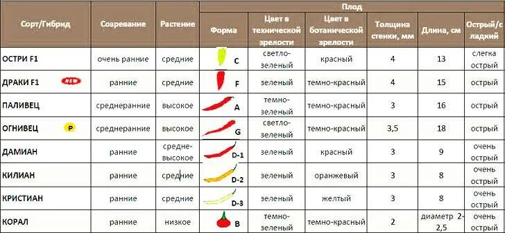 Перец кушать. Какого цвета бывает перец. Можно ли беременным острый перец. Черный перец при беременности. Со скольки можно перец