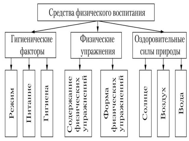 Физическое воспитание основные методы. Средства физического воспитания детей дошкольного возраста. Схема средства физического воспитания детей. Перечислите средства физического воспитания дошкольников. Что является основным средством физического воспитания дошкольников.