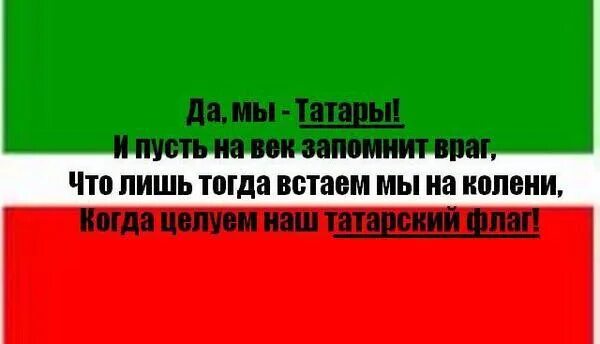 Снимай на татарском. Высказывания про татар смешные. Татарские анекдоты. Татарские шутки и приколы. Смешные цитаты про Татаров.