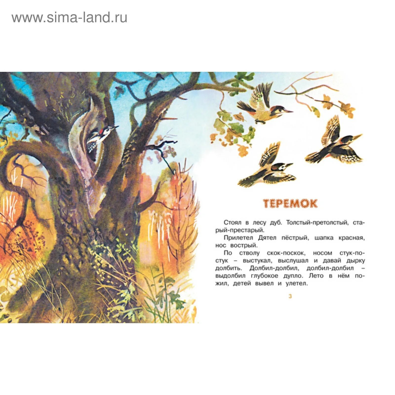 Бианки теремок читать. Бианки в. &quot;теремок&quot;. бианки теремок иллюстрации. сказка теремок бианки.