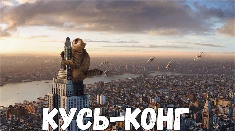 Котик кусь. Кот кусает. Кусь. Кусь. Котик кусь.