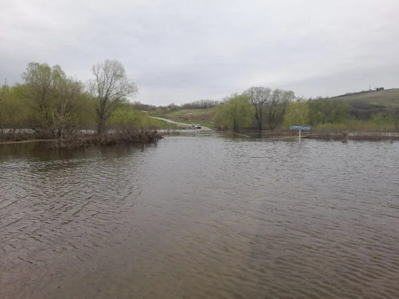 россошь детка