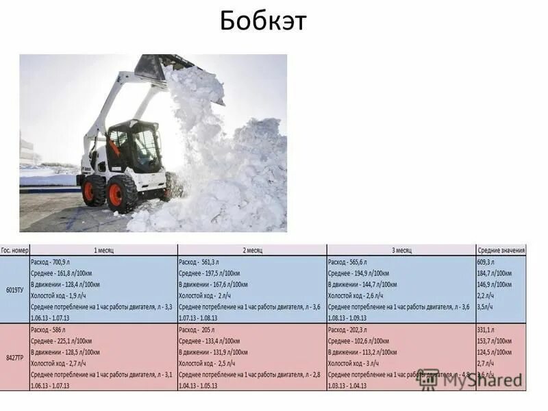 Bobcat перевод