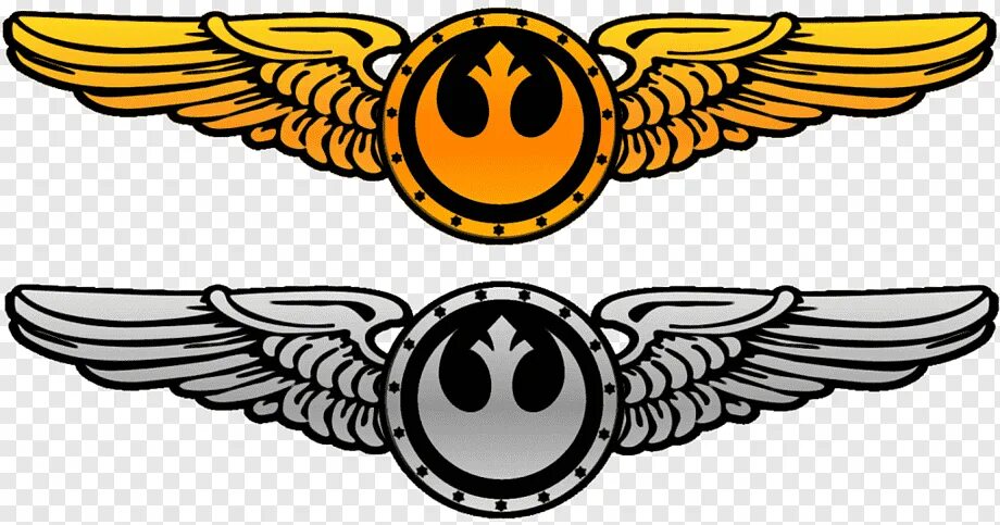 Крылья пилота. Значки с крыльями у военных. Значок крылья пилотов элли. Значок пилот сша крылья. Аэрофлот эмблема.