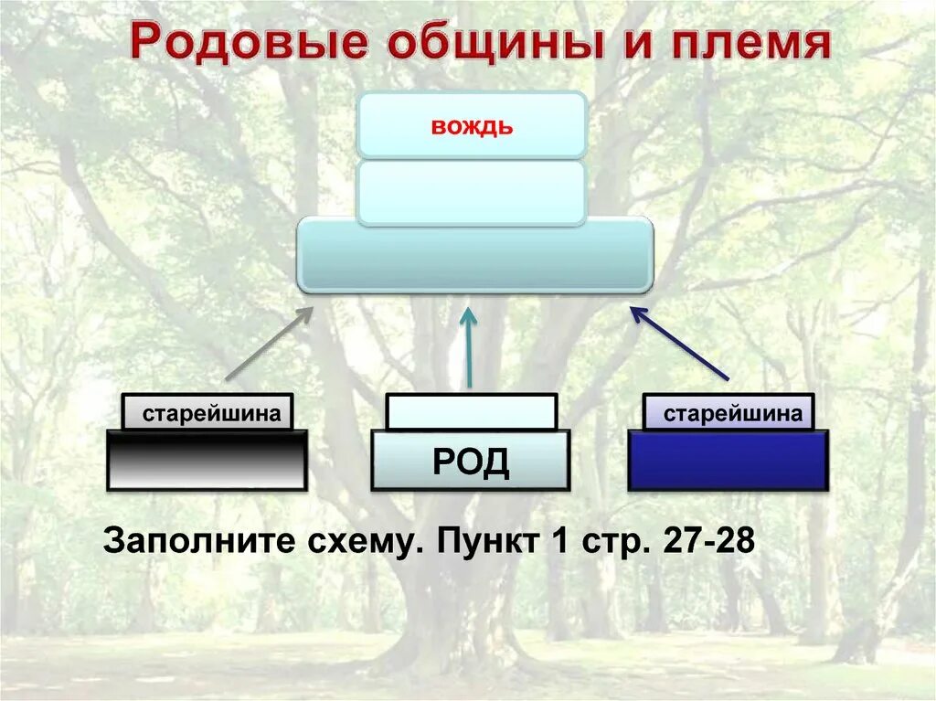 Родовые общины и племя схема. Род община племя схема. Родовая община и племя. Родовая община схема.