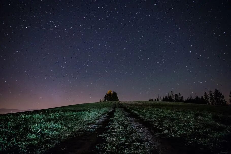 Стихотворение н рубцова звезда полей. Звезда полей рубцов. Стихотворение н. Звезда поле. Ночь степь звезды.
