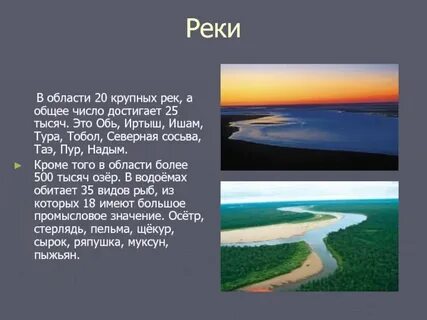 Тюменская область сообщение кратко
