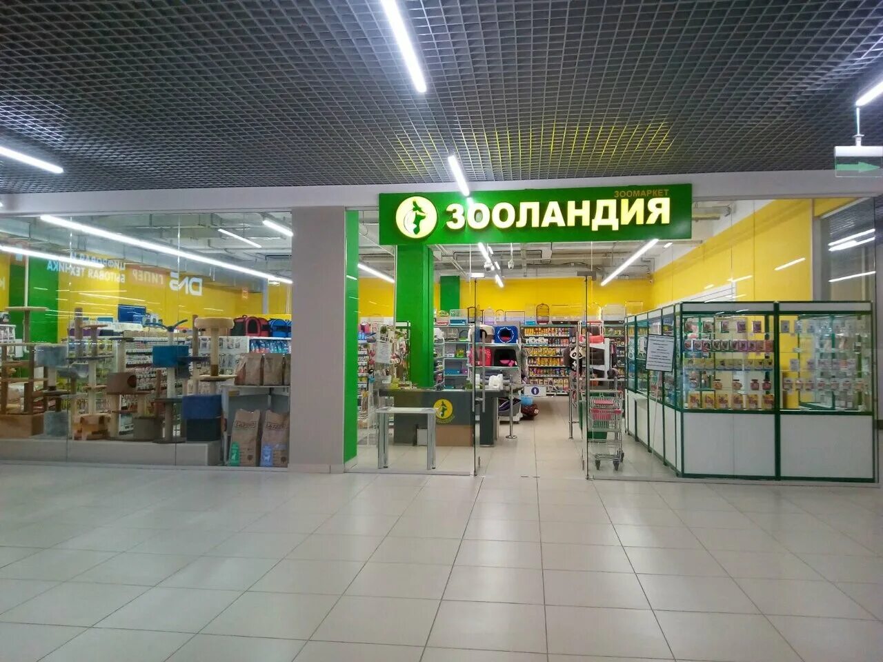 Зооландия адреса. Зоомагазин зооландия. Зоомагазин зооландия. Зооландия мурманск зоопарк. Зоомагазин зооландия.