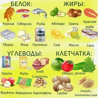 Белок это какие продукты питания