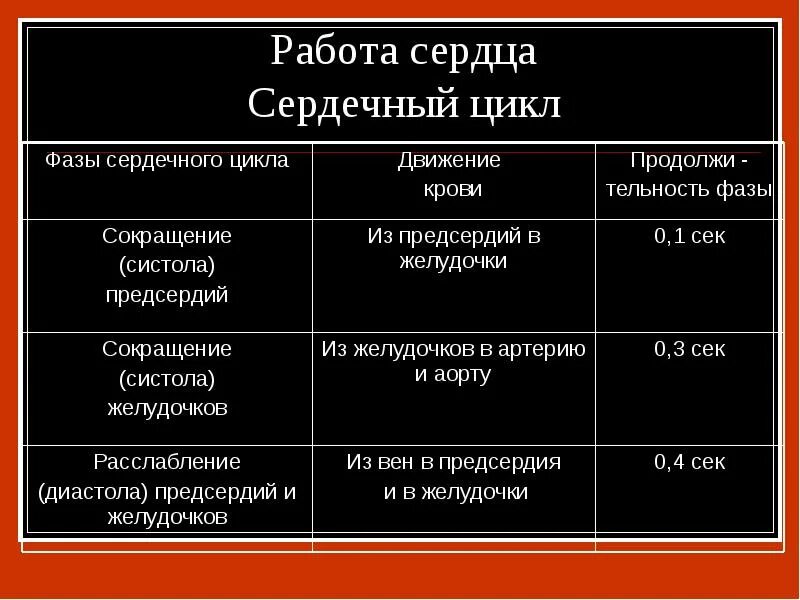 Что происходит в первой фазе сердечного цикла. Фазы сердечной деятельности таблица. фазы работы сердца таблица. фазы сердечного цикла таблица. работа сердца сердечный цикл таблица.