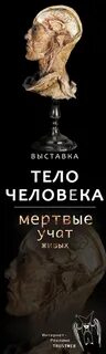 Мертвые учат