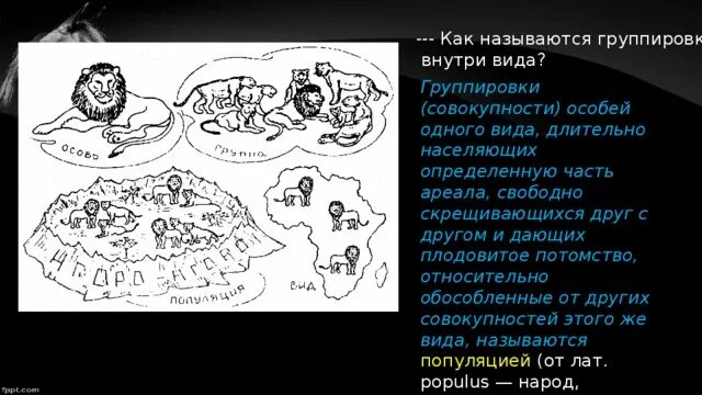 Как назвать группировку. Группировки внутри популяции. Как называли группировку науков в Хатере.