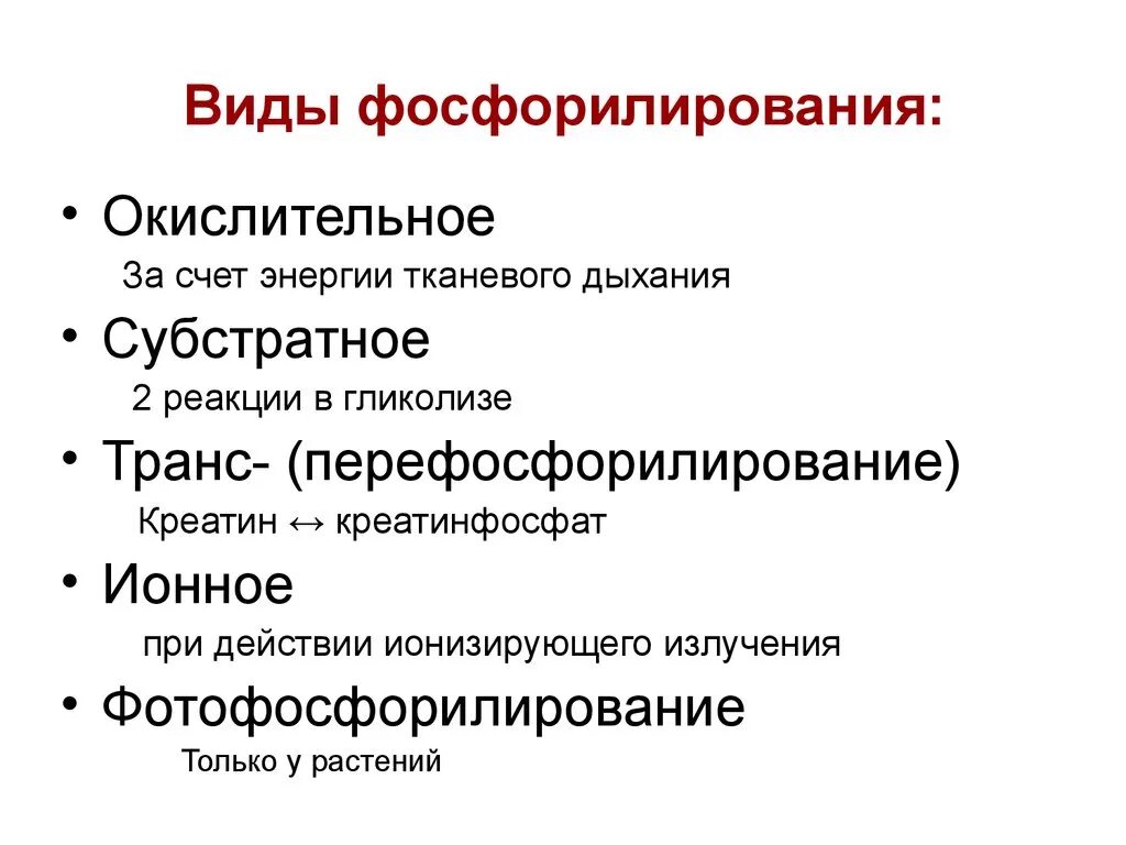 Субстратное фосфорилирование у бактерий типы. Циклическое и нециклическое фотофосфорилирование при фотосинтезе. Характеристика субстратного фосфорилирования. Циклическое и нециклическое фосфорилирование.