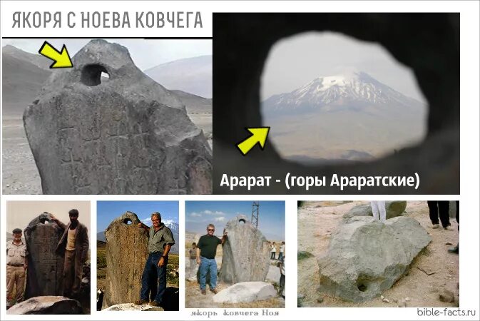 НБАО Ноев ковчег новые фото