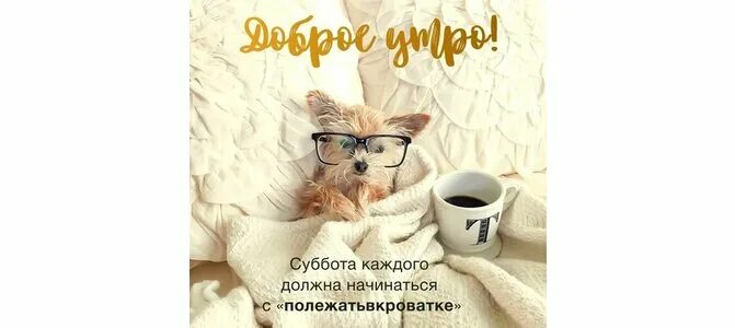Сегодня начинается среда. Среда а хотелось бы июль. среда а хотелось бы. открытка сегодня среда а хотелось бы июль. сегодня среда а хочется июль.