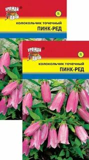 Семена пинк