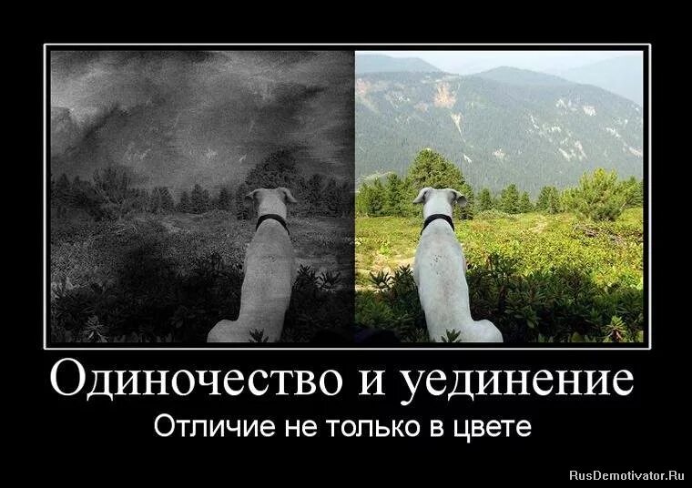 Ничем не отличающийся от других