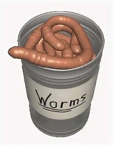 Can of worms