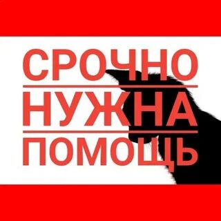Песня сос нам нужна помощь здесь