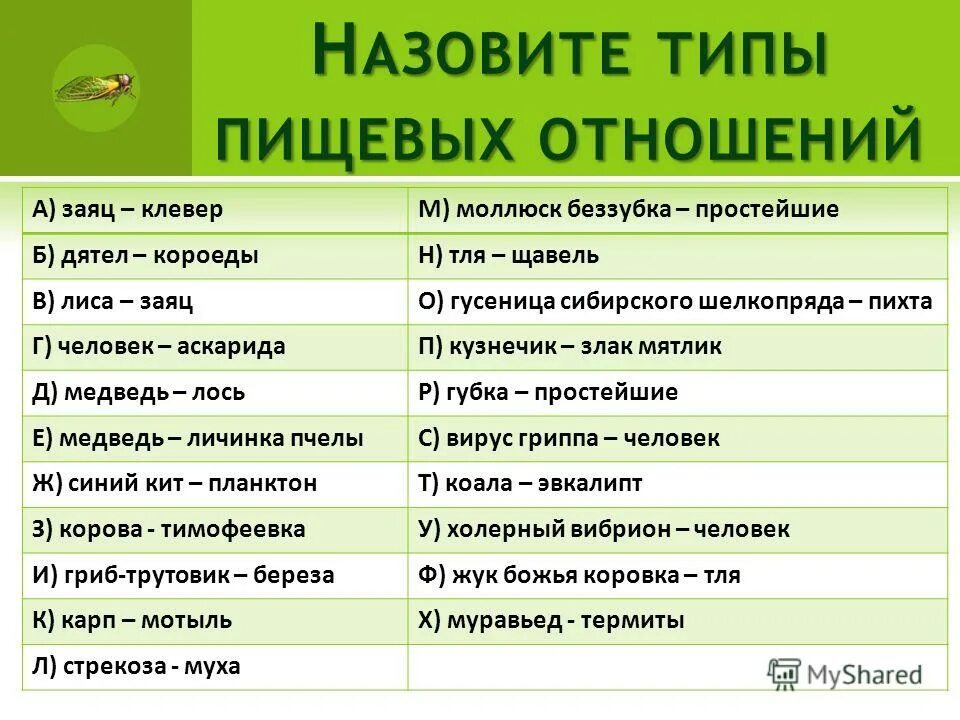 Типы пищевых отношений. Законы пищевых отношений. Пищевые взаимоотношения. Пример пищевых взаимоотношений.