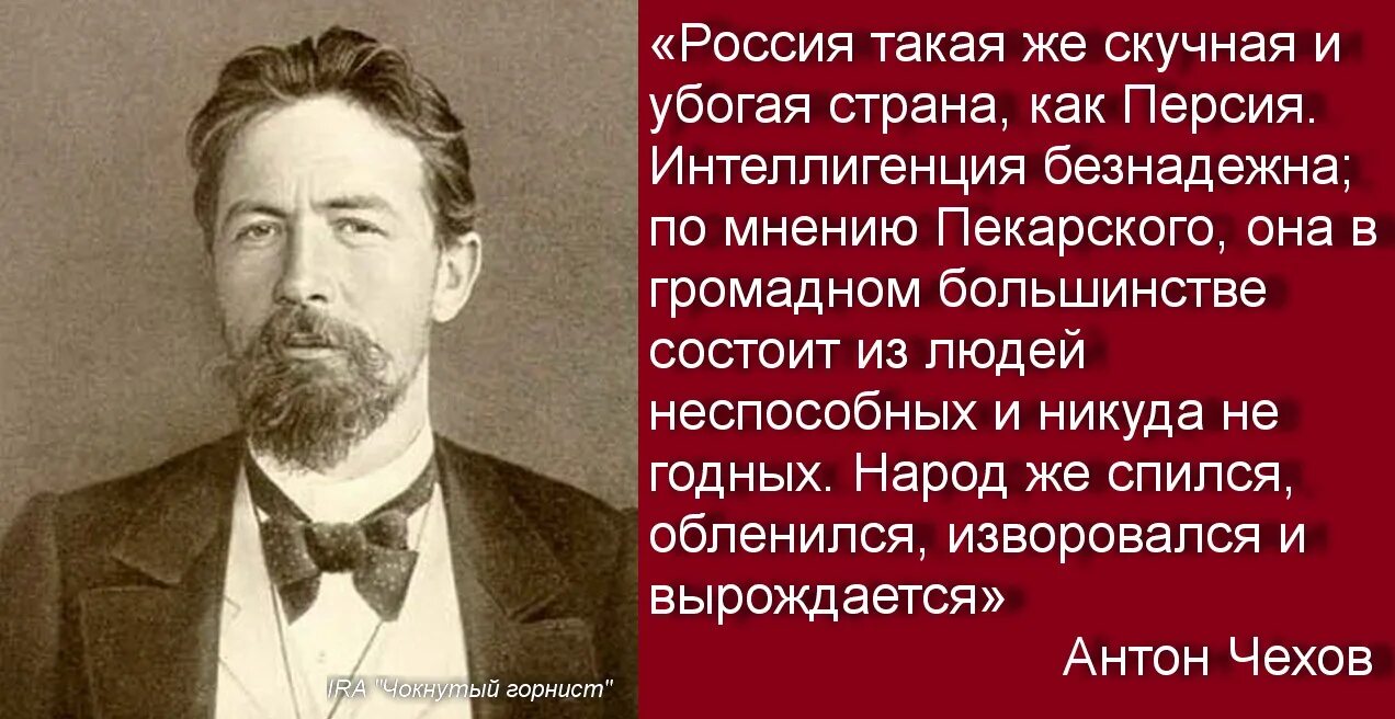 Чехов об интеллигенции. Высказывания Чехова об интеллигенции.