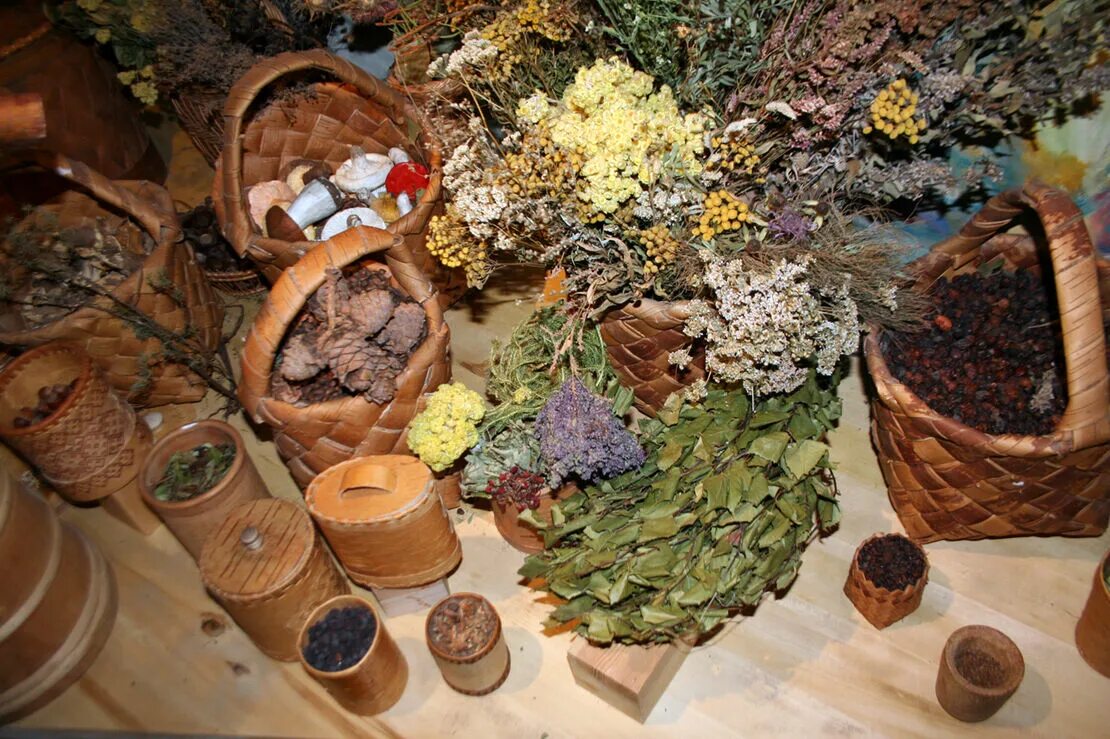 дары леса оренбург