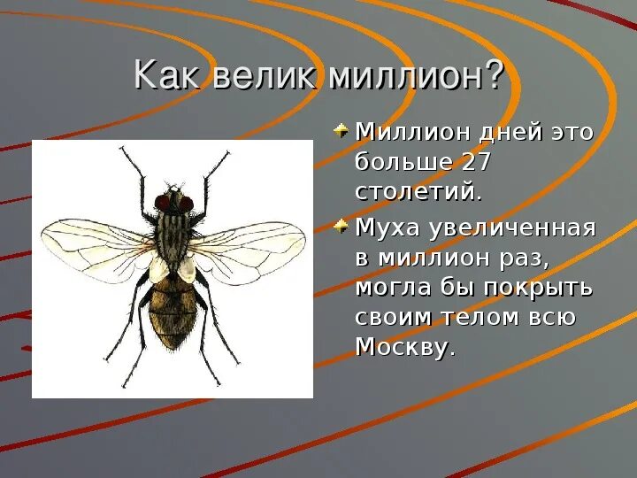 Насколько широко. Как велик миллион. Как велик миллион исследовательская работа. Миллион в день. Миллион рассказ.