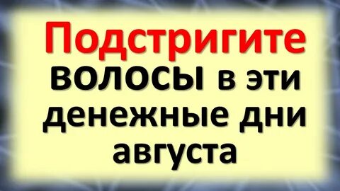 Стрижки в августе 2023