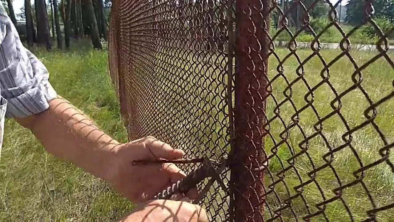 Сетку рабицу длиной 50 м разрезали