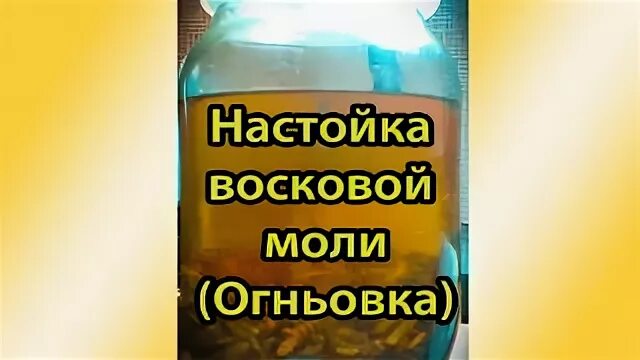 Настойка восковой моли этикетка. Восковая моль логотип. Группа сила моли привет