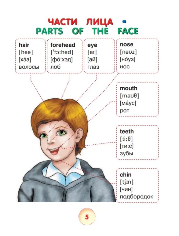 Hair language