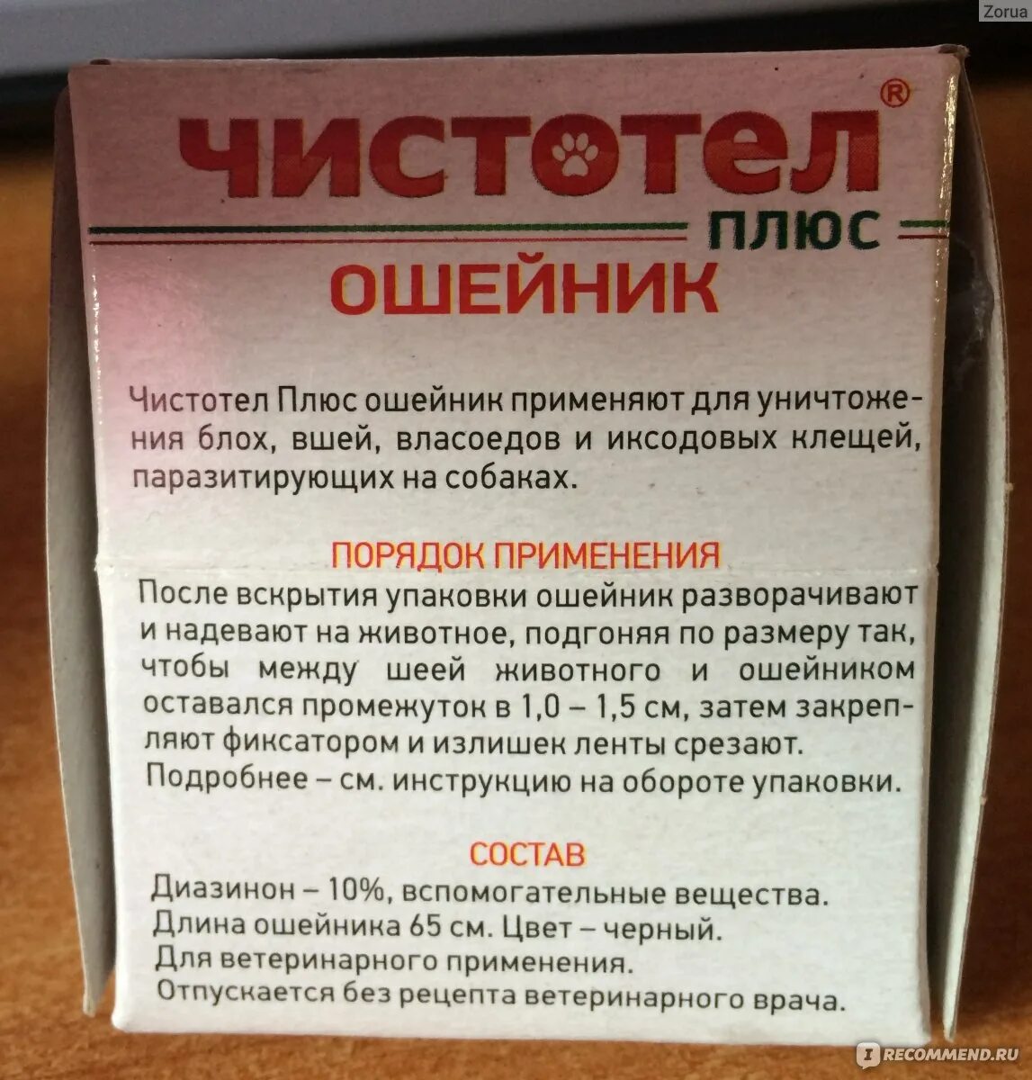 Чистотел курам. Ошейник чистотел. Чистотел для кур. Чистотел ошейник для собак. Курица и чистотел.