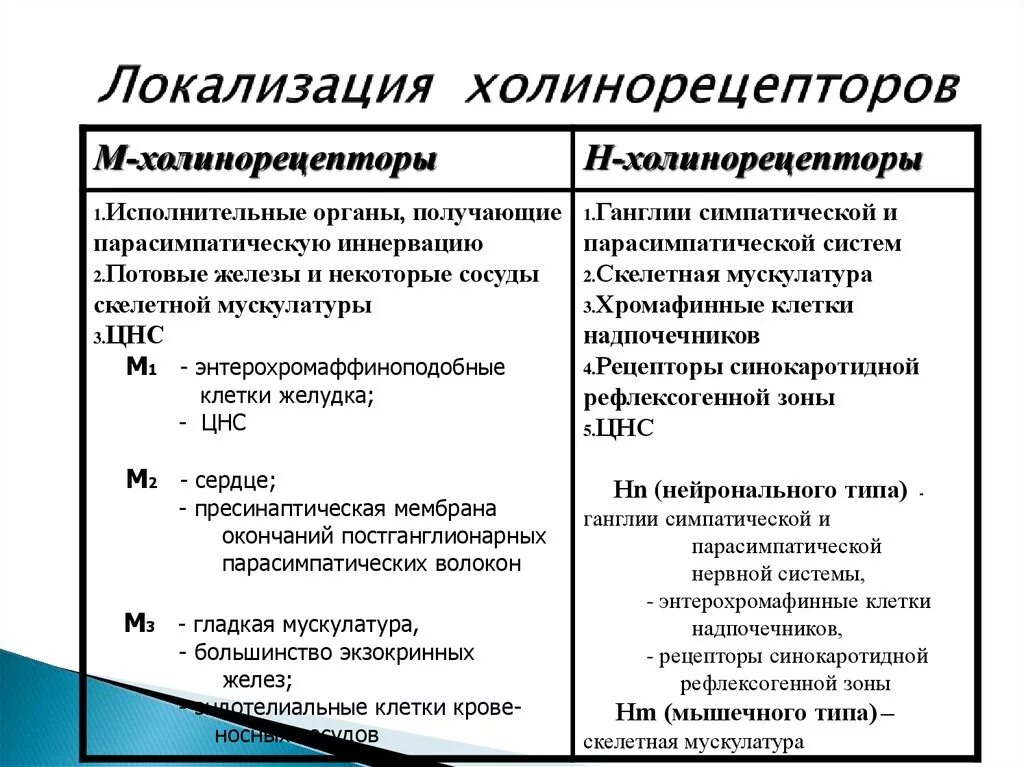 Эффекты холинорецепторов. Локализация nn-холинорецепторов. Локализация м3 холинорецепторов. Локализация м1 холинорецепторов. Холинорецепторы и адренорецепторы локализация.