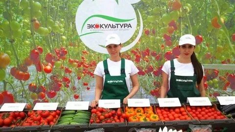 Эко ставропольский край
