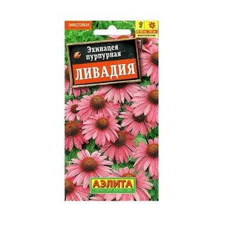 Эхинацея ливадия