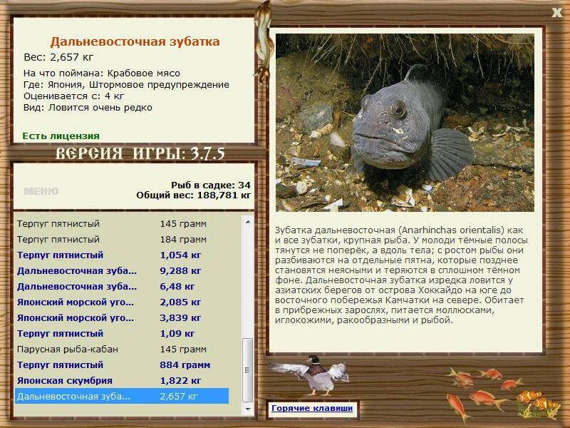 кабан рыба вес. гороскоп овен свинья женщина. восточный гороскоп кабан. кабан рыба вес.