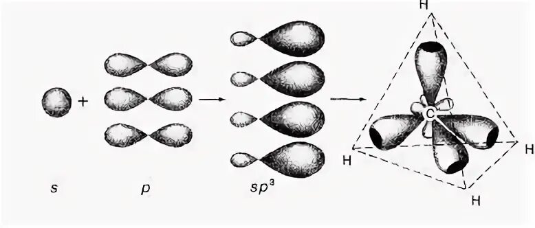 Sp2 гибридные орбитали углерода. Гибридизация орбиталей sp3. Гибридные орбитали sp3 sp2 SP. Гибридизация орбиталей (SP-, sp2 -, sp3 -).