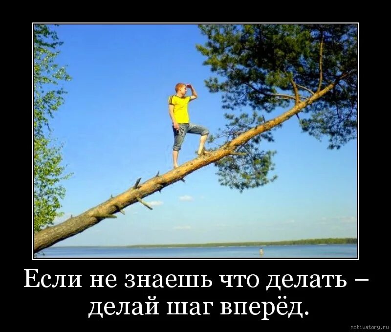 Что делаем куда идем 2
